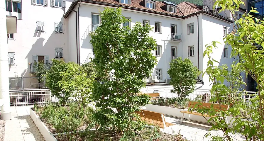 Un \"giardino\" per i comunali: sui tetti e sui terrazzi di Bolzano