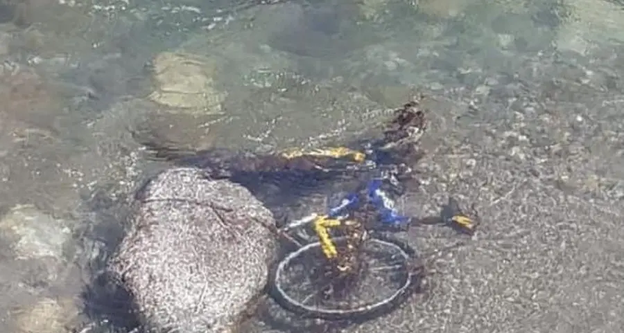 Bici rubate, a Merano adesso è allarme
