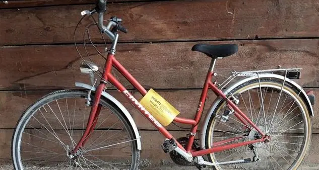 Bici ritrovate, 177 offerte: tutte vendute da 8 a 110 euro