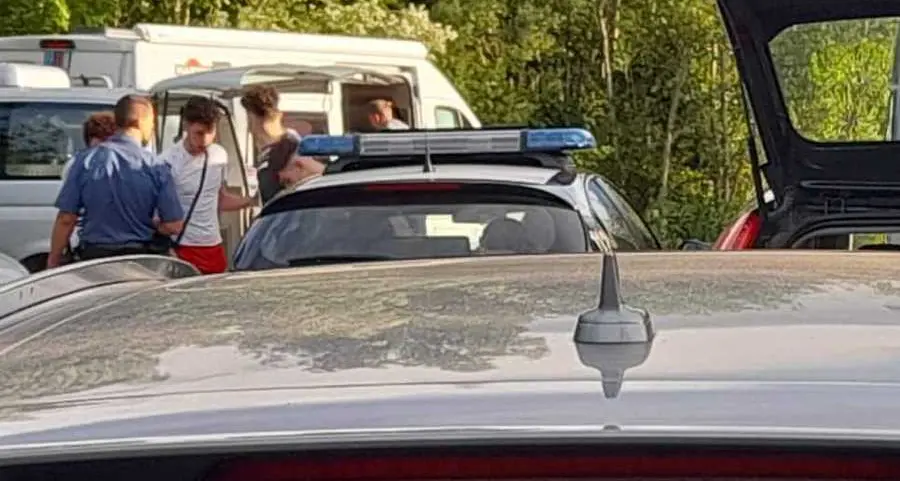 Sassi contro i cani, arrivano sei denunce