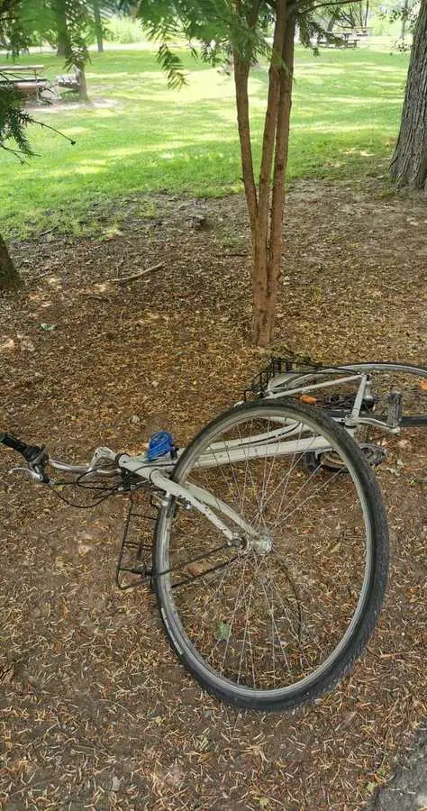 Scritte sui muri e bici rubate: nuovo raid vandalico a Bressanone