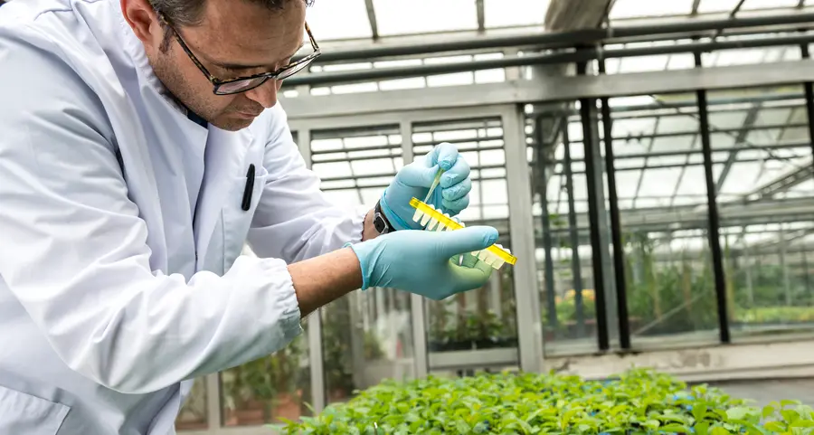 Agroalimentare, una task force al servizio anche delle Pmi