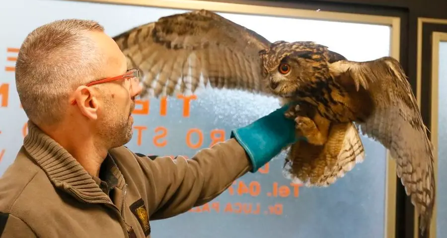 Recupero Avifauna, il Crab non riaprirà più