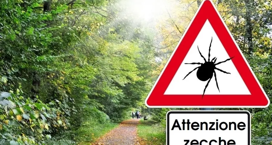 Zecche, segnalati i primi tre casi