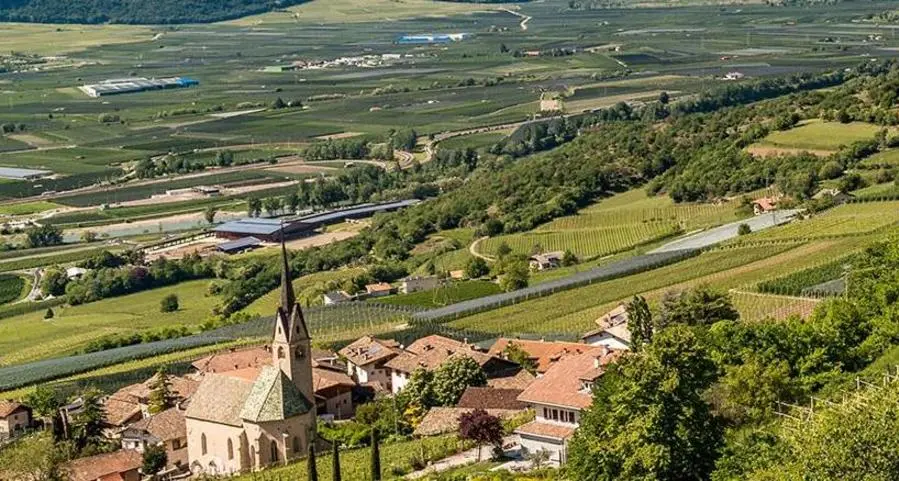 Montagna si cambia il nome e diventa “Sulla strada del vino”