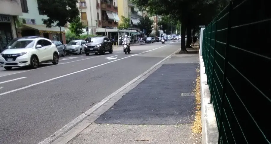 Via Resia, tagliati altri alberi: e i residenti protestano