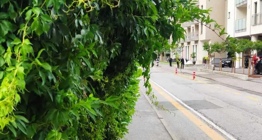 A Merano marciapiedi off limits per le siepi malcurate