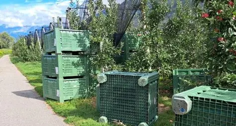 «Ciclabili ad alto rischio durante la raccolta»