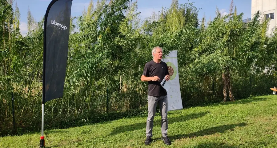 Canapa, la riscoperta di un prodotto «alpino»