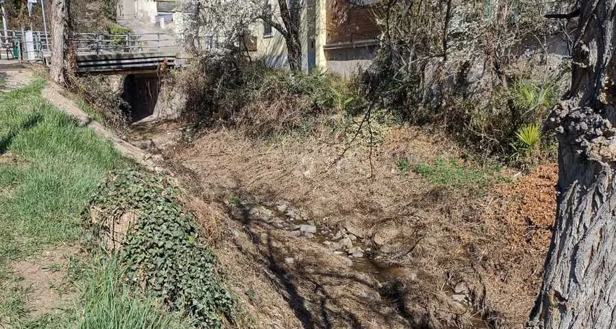 Rio Fago quasi a secco: pochissima acqua e pesci morti