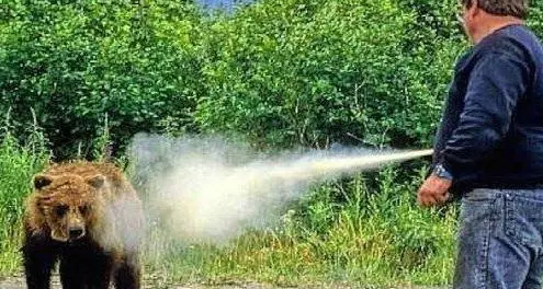 Spray anti-orso ai forestali, l'ok del ministero