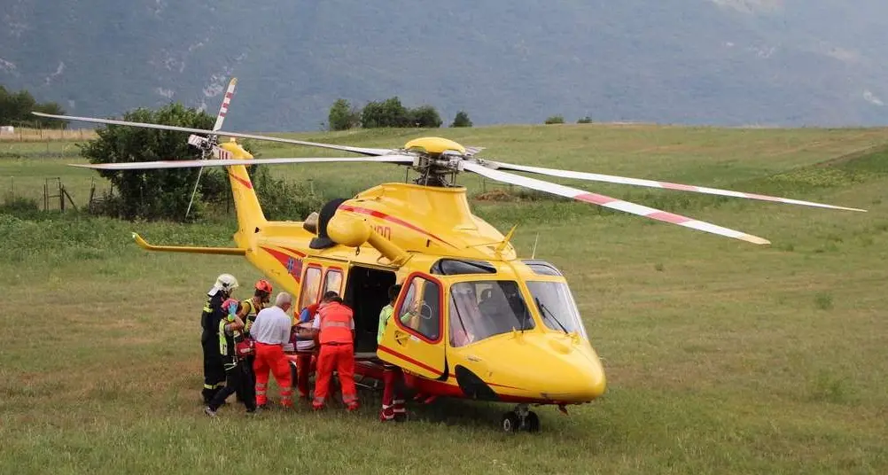 Colpito con un violento calcio da un cavallo, ferito uomo di 54 anni in Trentino