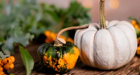 Halloween: meno 20% di zucche a causa del clima