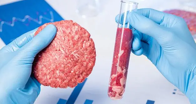Dorfmann: «La carne sintetica minaccia il reddito dei nostri agricoltori»
