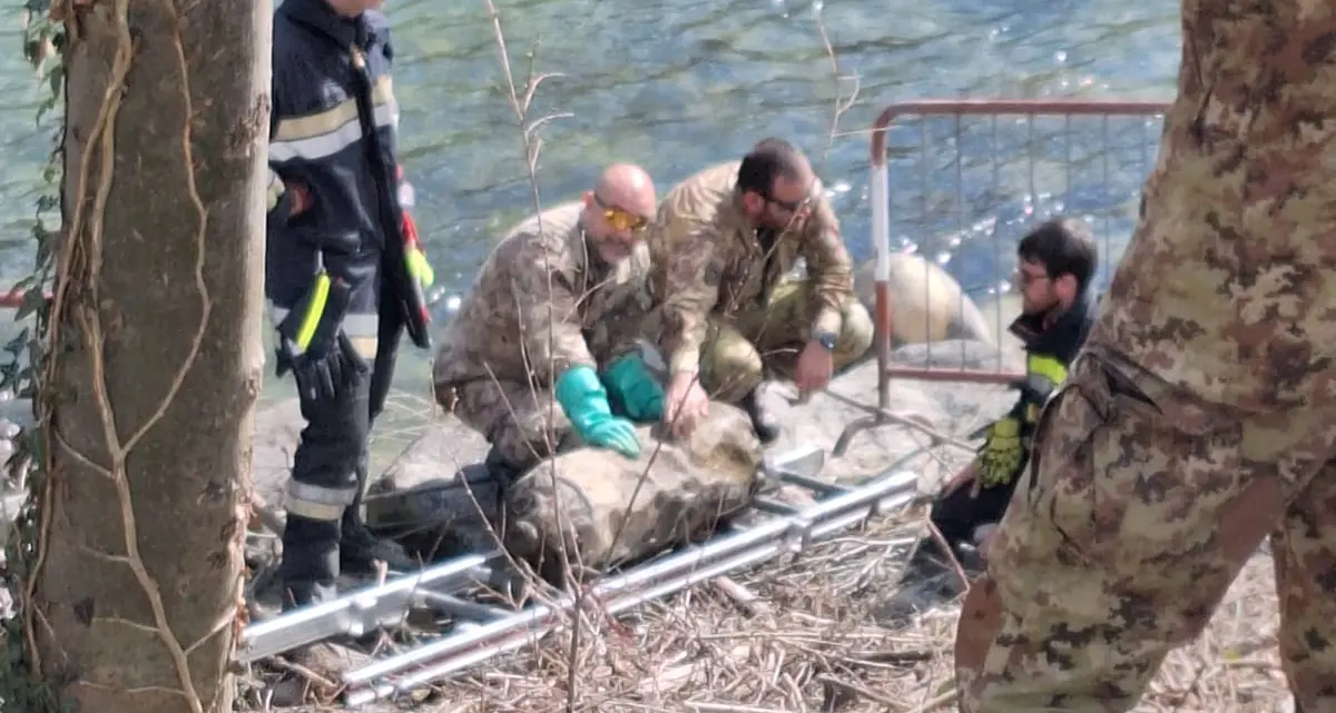 Una bomba spunta nell’Isarco: gli artificieri la recuperano