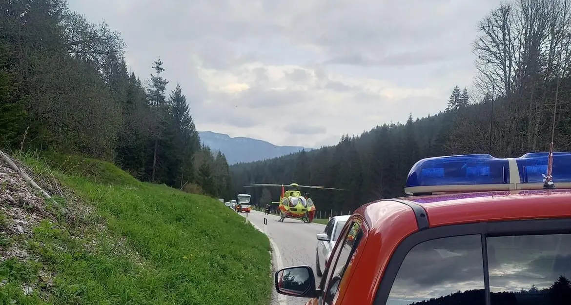 Investe un capriolo, motociclista muore in Trentino