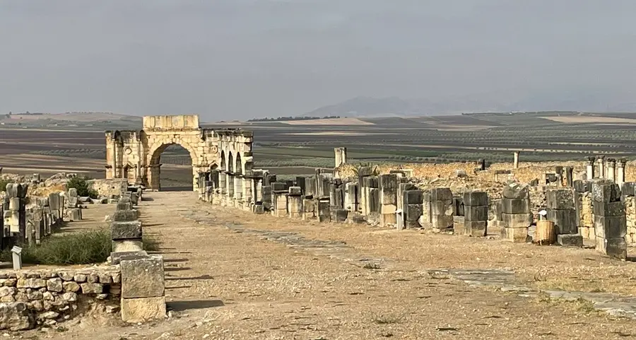 VOLUBILIS, IL GIOIELLO ROMANO NELLA TERRA DEI… “LEONES”