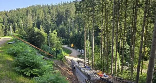 Salva JJ4, l'orsa che ha ucciso Andrea Papi: un parco tedesco prepara un'area che costerà 1 milione di euro