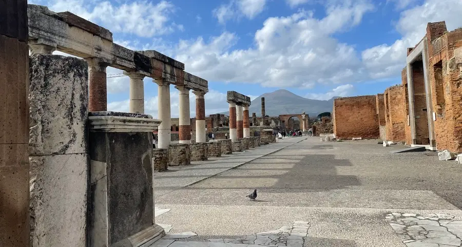 L’ENIGMA DELL’ ANANAS RITROVATO NELLA VILLA DI POMPEI