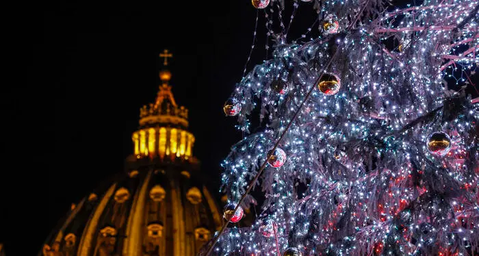 Fuoco incrociato sul Comune per l'albero di Natale trentino donato al papa: petizione e diffide