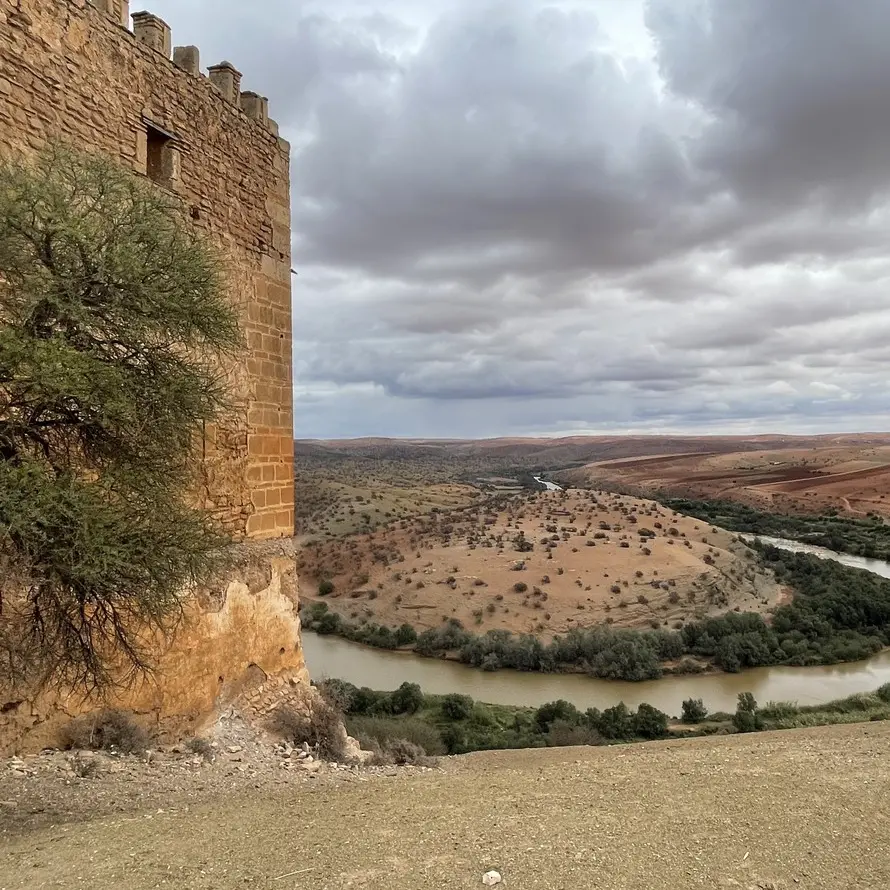 QUANDO UNA… FRANCESCHINI ERA LA “SULTANA” DEL MAROCCO