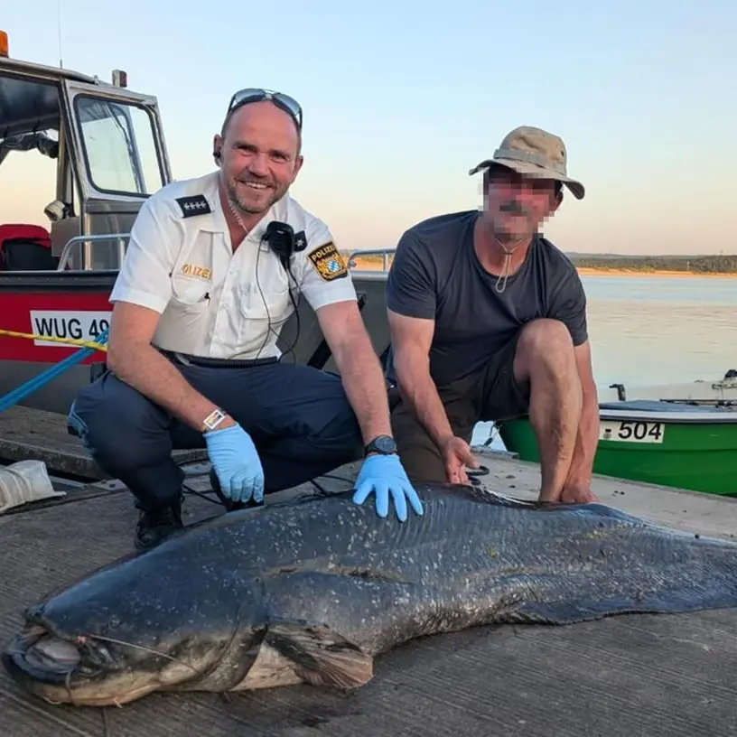 Il festival, il pesce e la pistola: cronaca di un’estate surreale