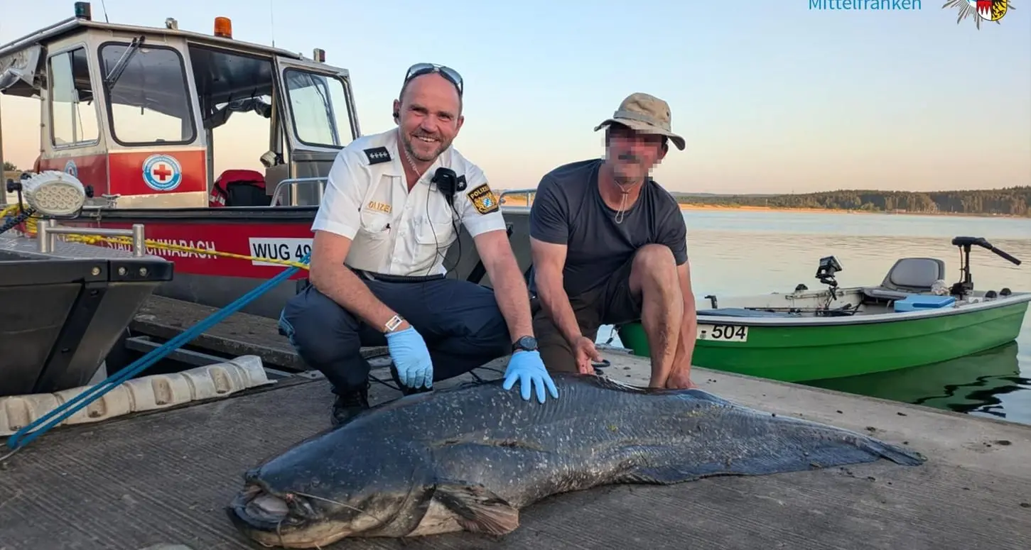 Il festival, il pesce e la pistola: cronaca di un’estate surreale