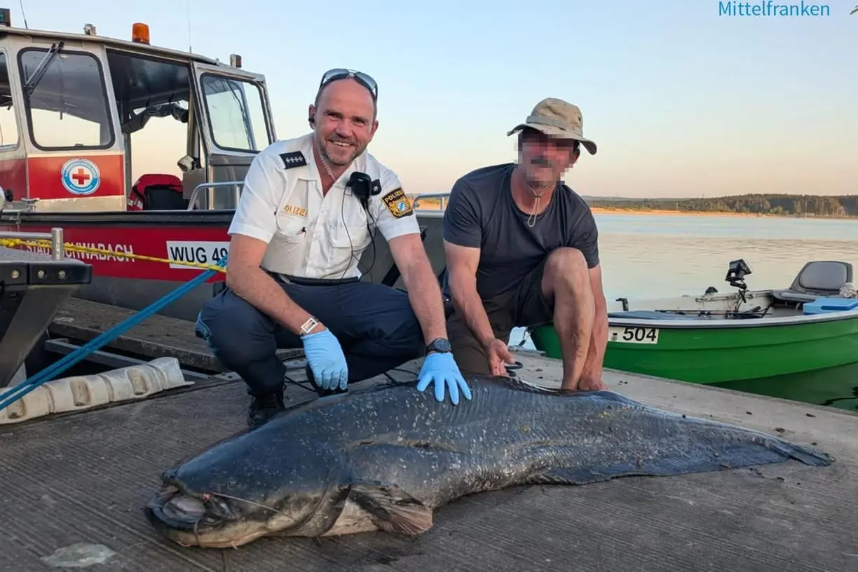 Il festival, il pesce e la pistola: cronaca di un’estate surreale