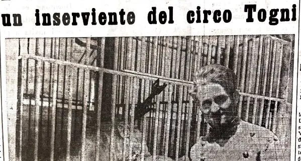 29 luglio 1956. La zampata del leone Fulmine all'inserviente del Circo