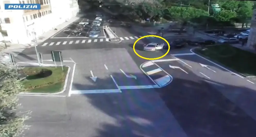 Un cane molosso e un video incastrano un latitante internazionale a Verona