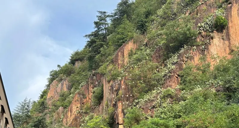 Bolzano, messo in sicurezza il pendio sopra via Fago
