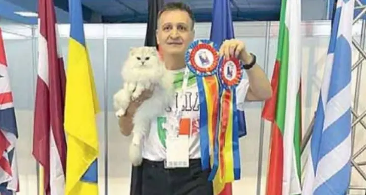 È il meranese \"Nuvola\" il più bel gatto al mondo