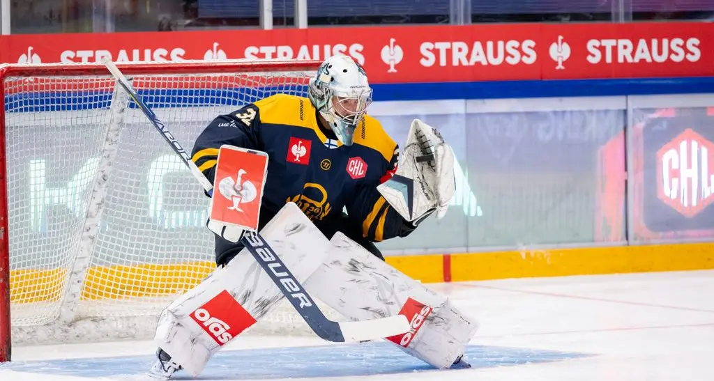 I Foxes ingaggiano il portiere finlandese Gibson