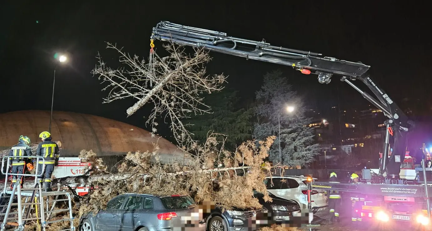Vento forte in Alto Adige, alberi caduti e trenta uscite dei vigili del fuoco
