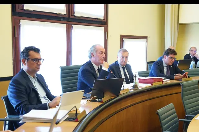 Comunicato Stampa: ‘Istituzione dell’Osservatorio Olivicolo Veneto’