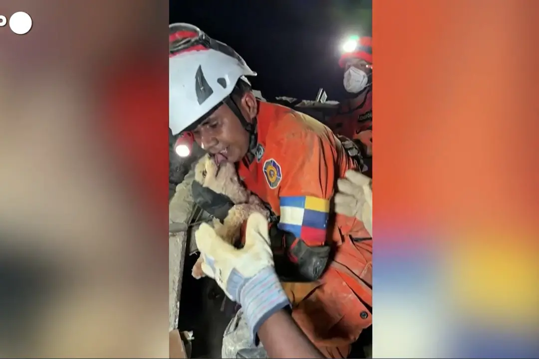 Sisma in Venezuela, la vita riemerge dalle macerie dopo giorni di silenzio