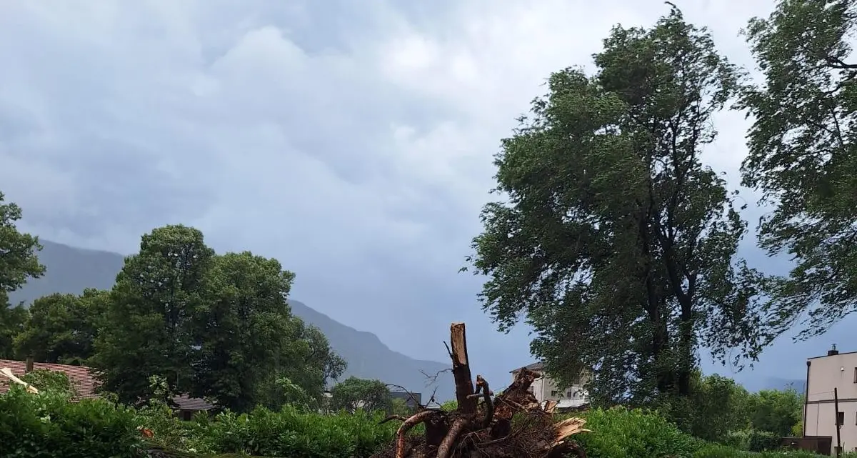 Violenti temporali in Alto Adige: alberi sradicati e allagamenti