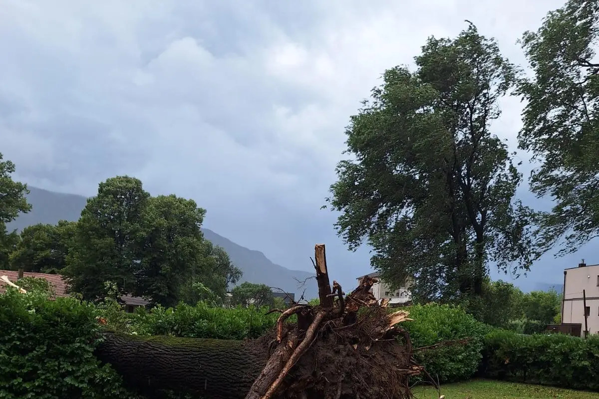 Violenti temporali in Alto Adige: alberi sradicati e allagamenti