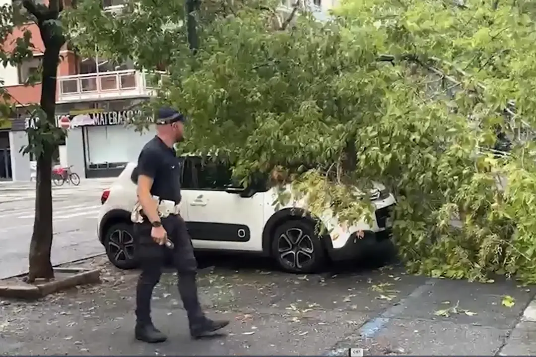 Maltempo a Torino, pioggia e vento abbattono diversi alberi in città