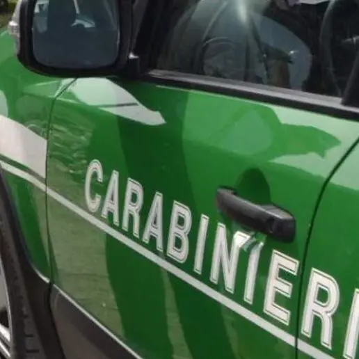 Maxi-operazione: sequestrate tonnellate di fitosanitari illegali