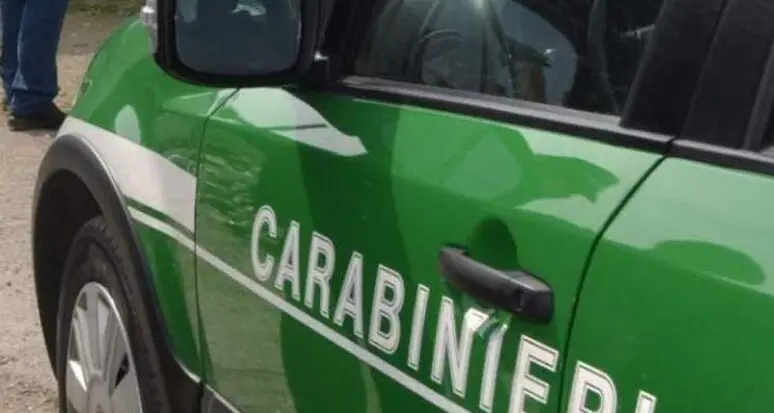 Maxi-operazione: sequestrate tonnellate di fitosanitari illegali
