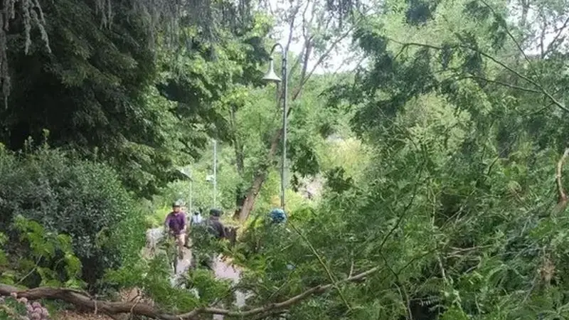 Bolzano, crollano due grossi rami sulla ciclabile: sfiorata la tragedia