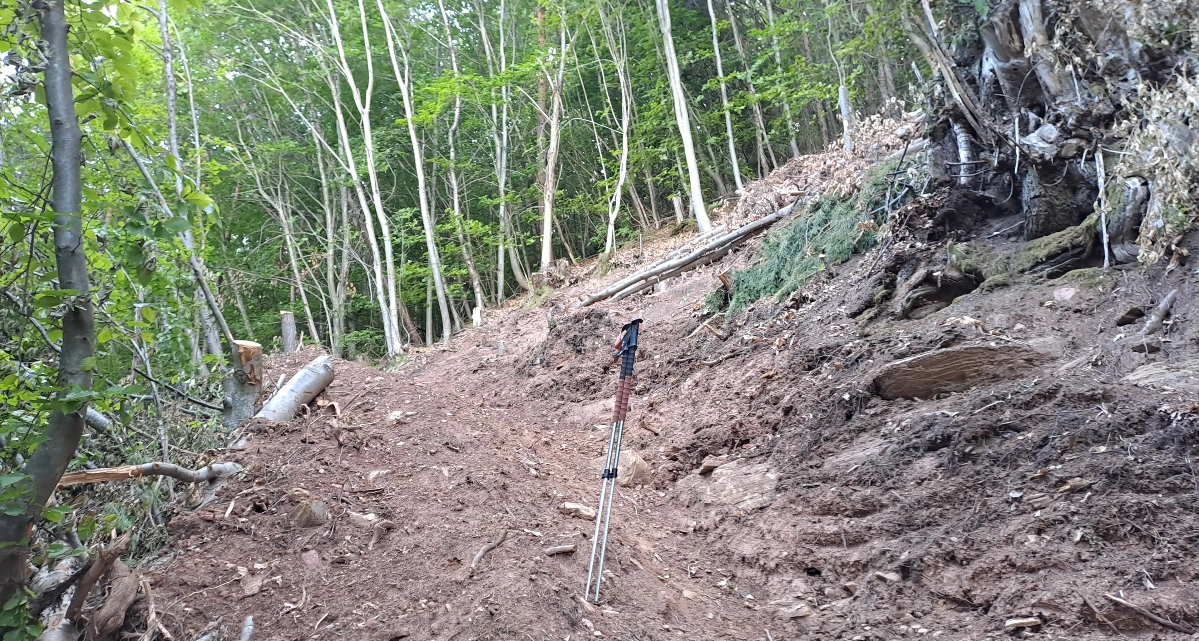 Caldaro, ambientalisti contro l'ampliamento della cava: «Distrutto il sentiero del Prazoll»