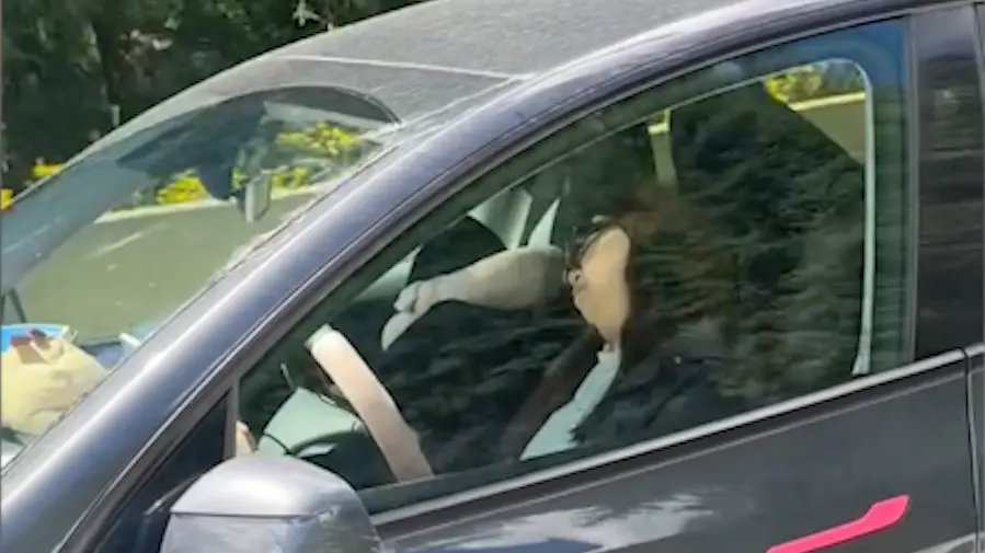 Autopilota inserito, ma la conducente dorme: il video dal Canada diventa virale