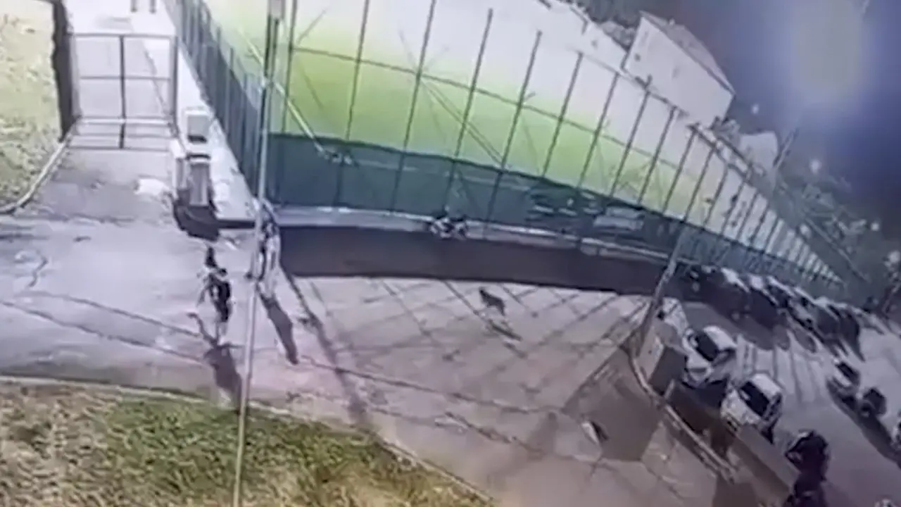 Lupo ad Arrone, le immagini poco prima dell'aggressione alla bimba