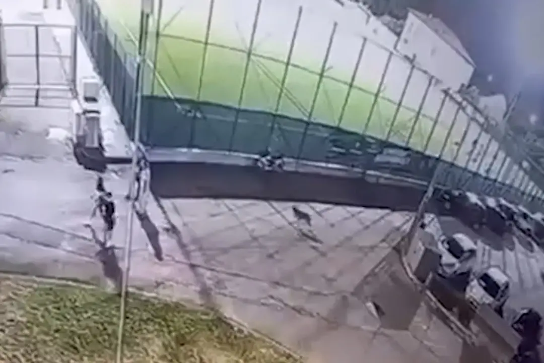 Lupo ad Arrone, le immagini poco prima dell'aggressione alla bimba