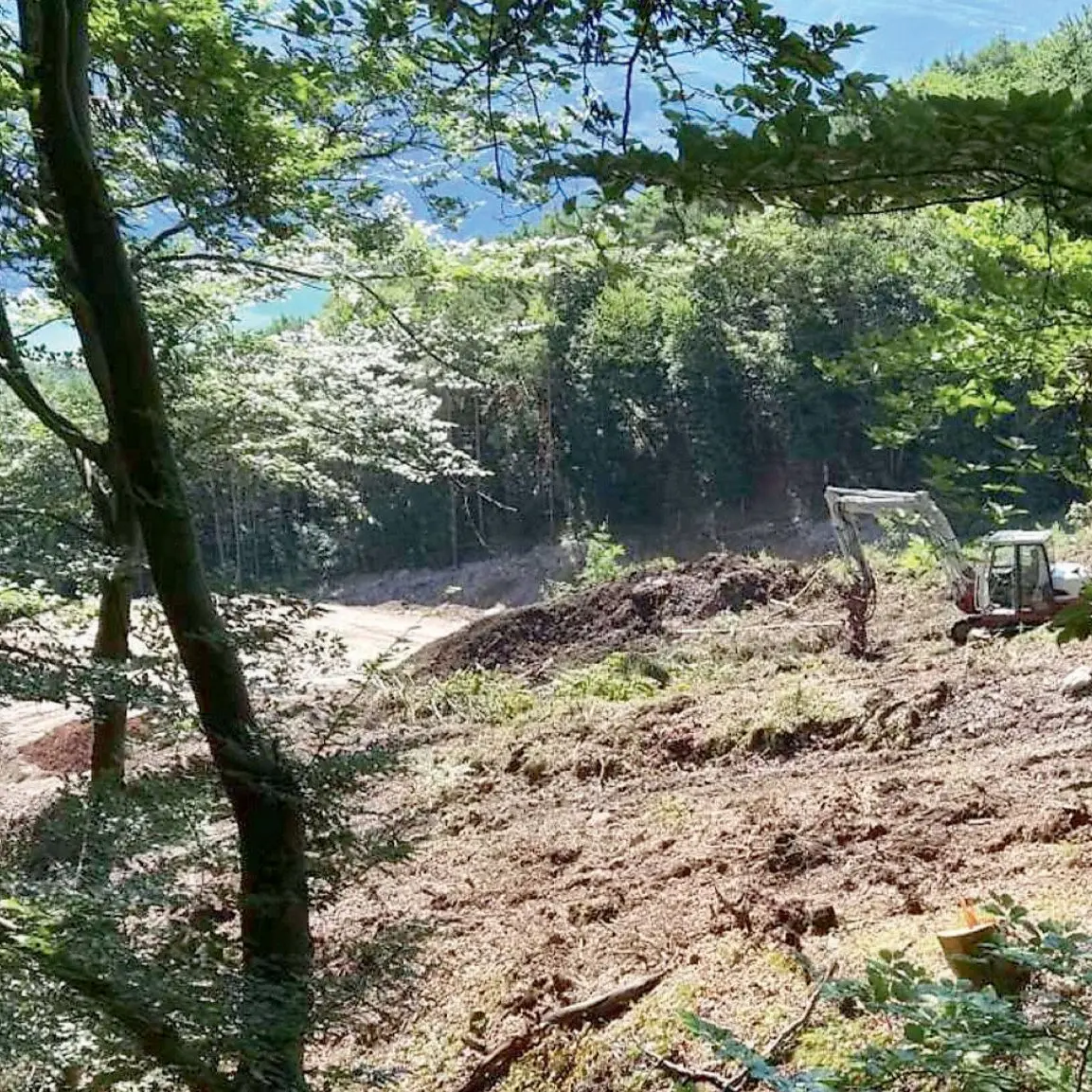 Alberi abbattuti e sentiero deviato per ampliare la cava