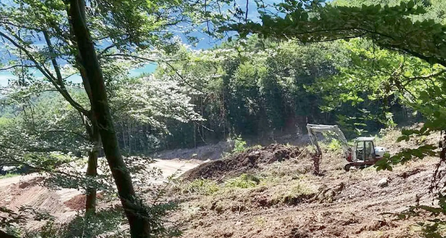 Alberi abbattuti e sentiero deviato per ampliare la cava