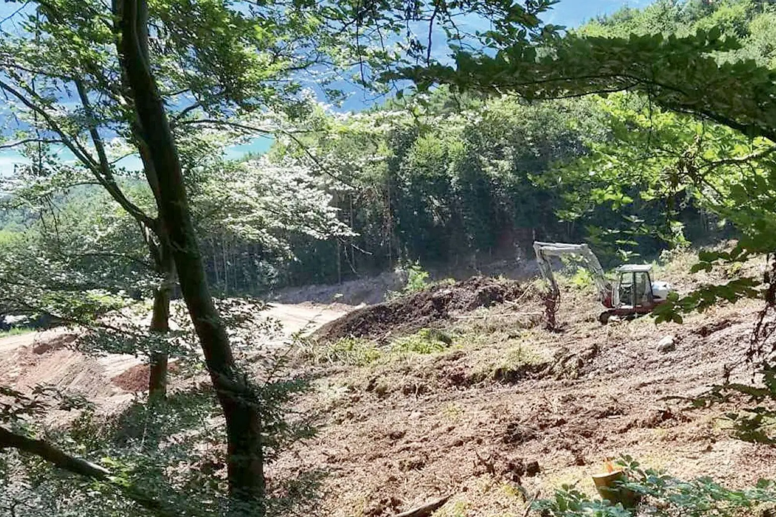 Alberi abbattuti e sentiero deviato per ampliare la cava