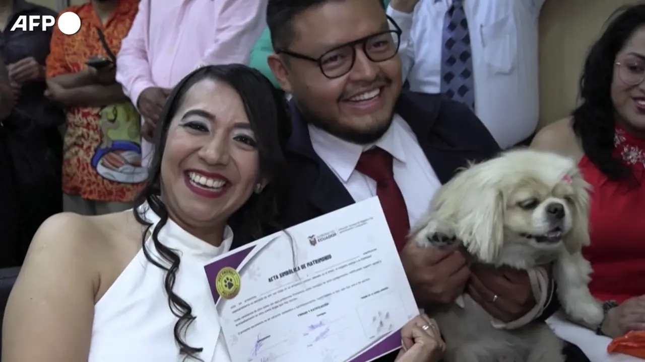 Ecuador, gli animali domestici diventano testimoni ai matrimoni